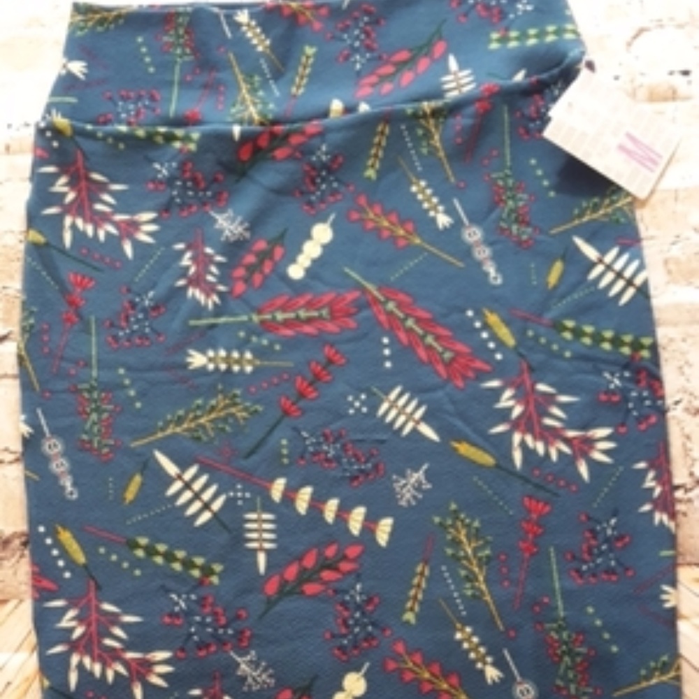 NWT LuLaRoe Cassie Skirt Medium